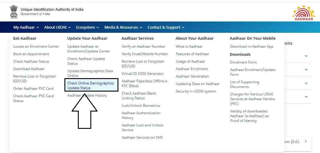 Aadhar Card: How to Check Online Demographic Update Status